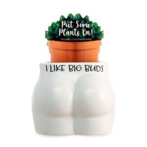 Novelty Planter - I like Big Buds