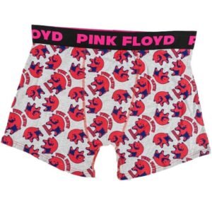 PINK FLOYD S/2 TRUNKS